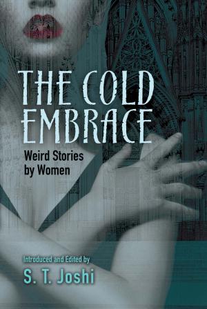 Cover of the book The Cold Embrace by F. Scott Fitzgerald