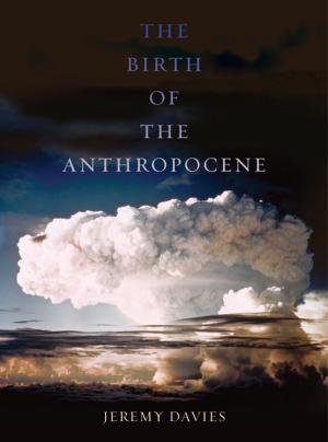 Cover of the book The Birth of the Anthropocene by Leo Sartori