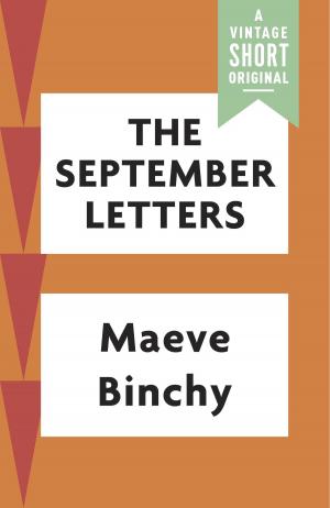 Cover of the book The September Letters by Mónica Montero F.
