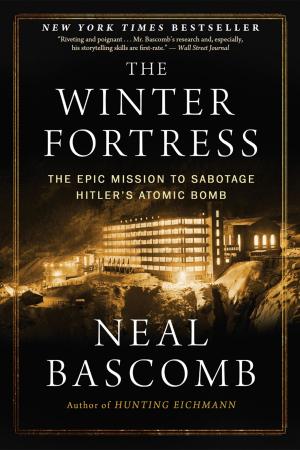 Cover of the book The Winter Fortress by Avi