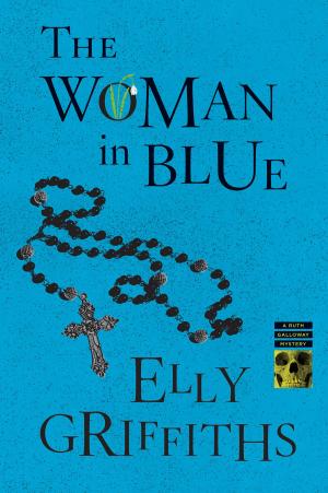Cover of the book The Woman in Blue by Gary Paulsen