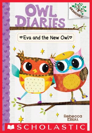 Cover of the book Eva and the New Owl: A Branches Book (Owl Diaries #4) by Gary Paulsen
