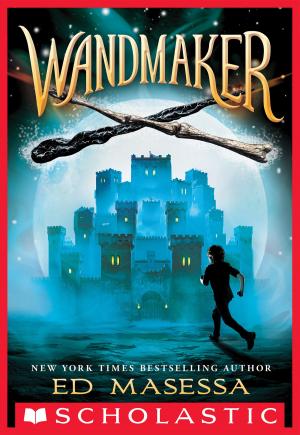 Cover of the book Wandmaker by Daisy Meadows