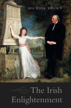 Cover of the book The Irish Enlightenment by Istvan Hont