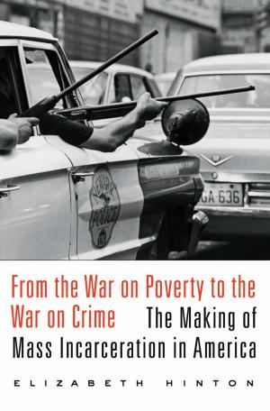 Cover of the book From the War on Poverty to the War on Crime by Alejandra Dubcovsky