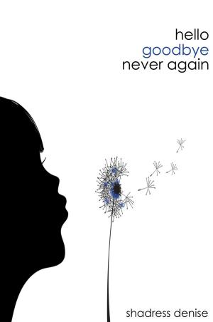 Cover of the book hello. goodbye. never again by India Millar