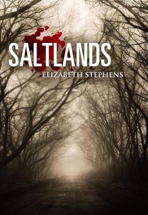Book cover of Saltlands, Population #2 (interracial post apocalyptic scifi romance)