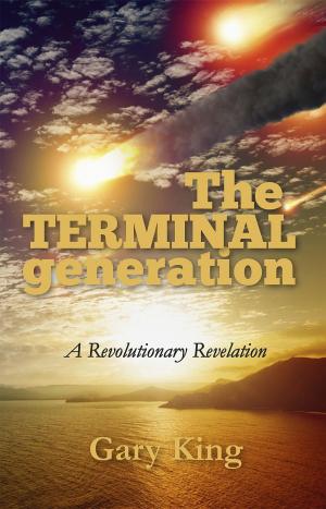 bigCover of the book The Terminal Generation by 