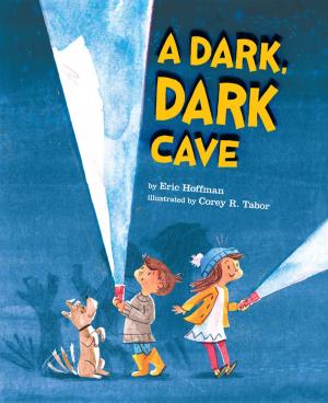 Cover of the book A Dark, Dark Cave by Sudipta Bardhan-Quallen