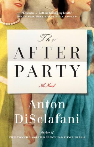 Cover of the book The After Party by Rebecca Makkai