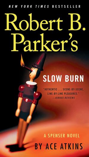 Cover of the book Robert B. Parker's Slow Burn by Michael McGarrity