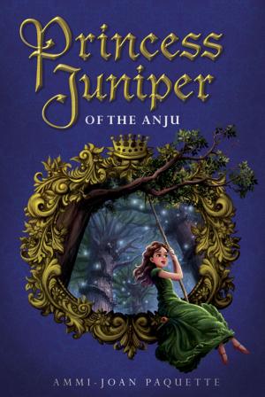 Book cover of Princess Juniper of the Anju