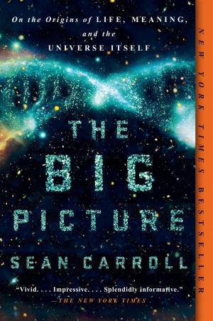 Cover of the book The Big Picture by Clare Balding
