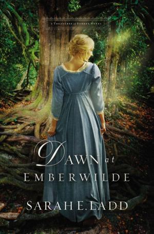 Cover of the book Dawn at Emberwilde by Scott Lamb