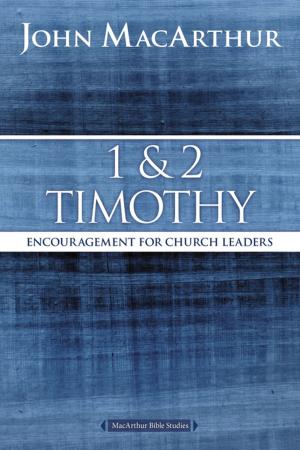 Cover of the book 1 and 2 Timothy by Jacqueline A. Bussie