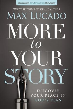 Cover of the book More to Your Story by Robert Whitlow