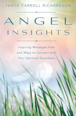 Cover of the book Angel Insights by Diane Stein