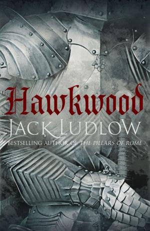Cover of the book Hawkwood by Menna van Praag
