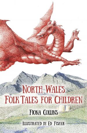 Cover of the book North Wales Folk Tales for Children by Anthony Burton