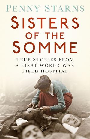 Cover of the book Sisters of the Somme by Russell Phillips