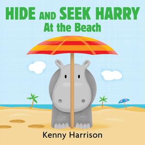 Cover of the book Hide and Seek Harry at the Beach by Paul Fleischman