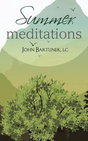 Book cover of Summer Meditations