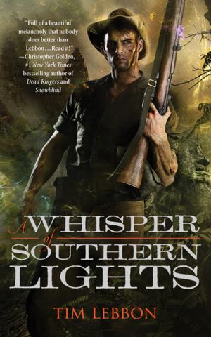 Cover of the book A Whisper of Southern Lights by Alexander Jablokov
