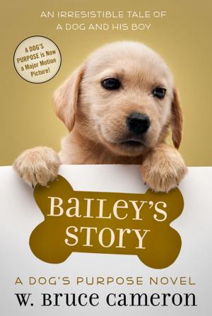 Book cover of Bailey's Story