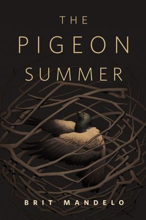 Book cover of The Pigeon Summer