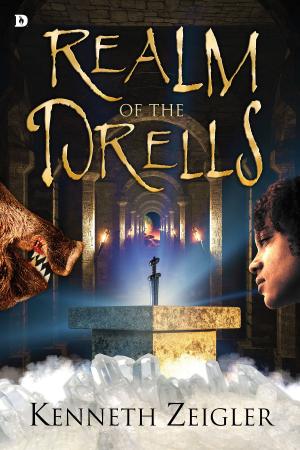 Book cover of The Realm of the Drells