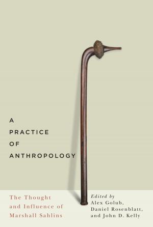 Cover of the book A Practice of Anthropology by Zlata Blazina Tomic, Vesna Blazina