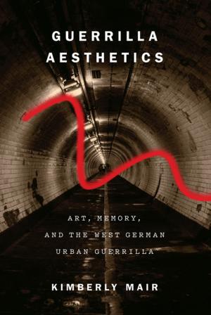 Cover of the book Guerrilla Aesthetics by David K. Goodin
