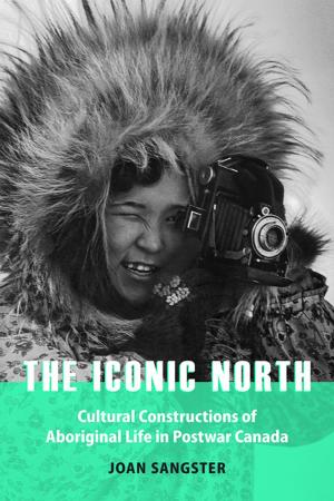 Book cover of The Iconic North