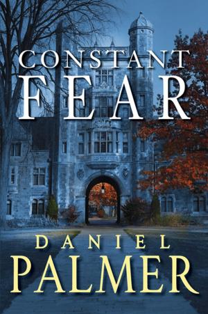 Cover of the book Constant Fear by Craig Larsen