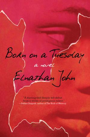 Cover of the book Born on a Tuesday by AR DeClerck