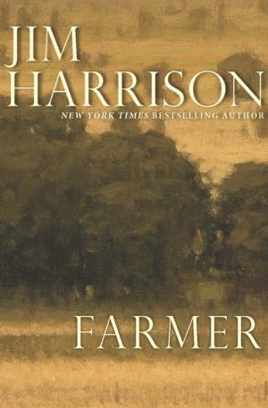 Cover of the book Farmer by Mo Hayder