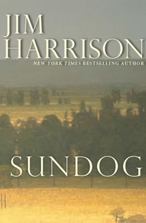 Book cover of Sundog