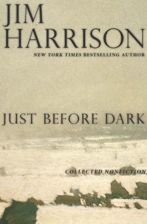 Book cover of Just Before Dark