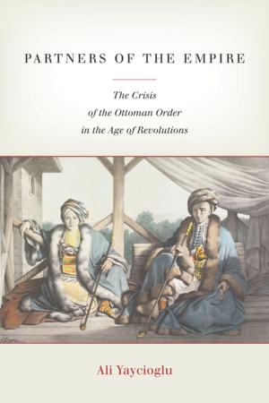 Cover of the book Partners of the Empire by Christopher J. Coyne