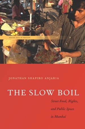 Book cover of The Slow Boil