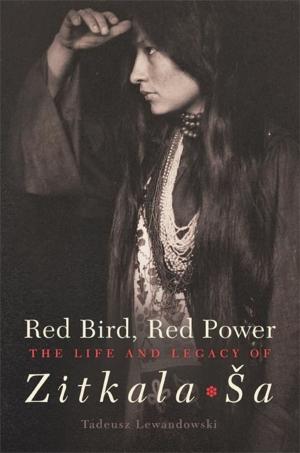Cover of the book Red Bird, Red Power by Sarah C. Melville