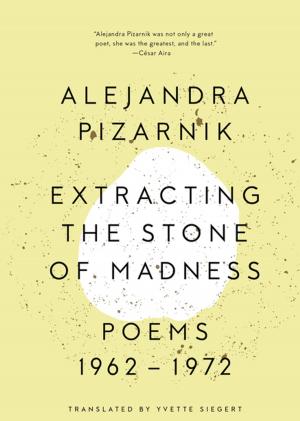 Cover of the book Extracting the Stone of Madness: Poems 1962 - 1972 by Djuna Barnes, Jeanette Winterson