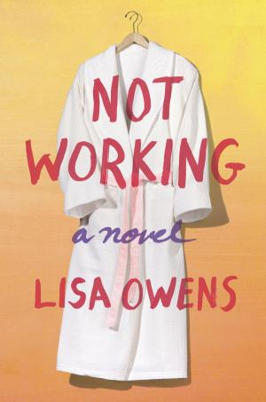 Cover of the book Not Working by Ann Margaret Lewis, Helen Keier