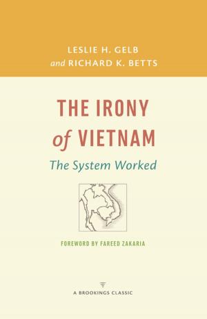 Cover of the book The Irony of Vietnam by Itamar Rabinovich