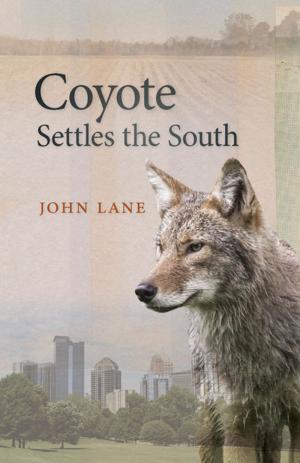 Book cover of Coyote Settles the South