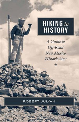 Cover of the book Hiking to History by Shirley Cushing Flint