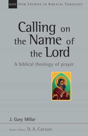 Cover of the book Calling on the Name of the Lord by Drew Moser, Carnegie Foundation for the Advancement of Teaching