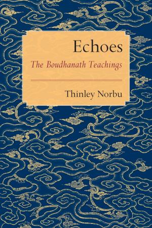 Cover of the book Echoes by Dainin Katagiri