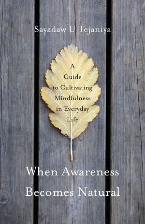 Cover of the book When Awareness Becomes Natural by David Hinton