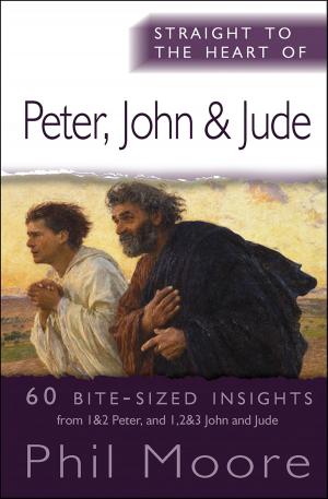 Cover of the book Straight to the Heart of Peter, John and Jude by Reverend Canon Andrew White
